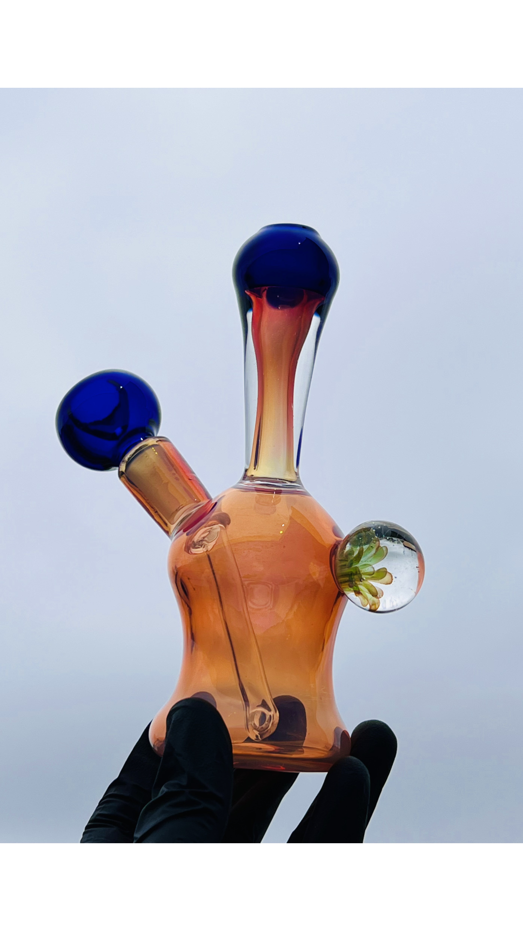BH 5
