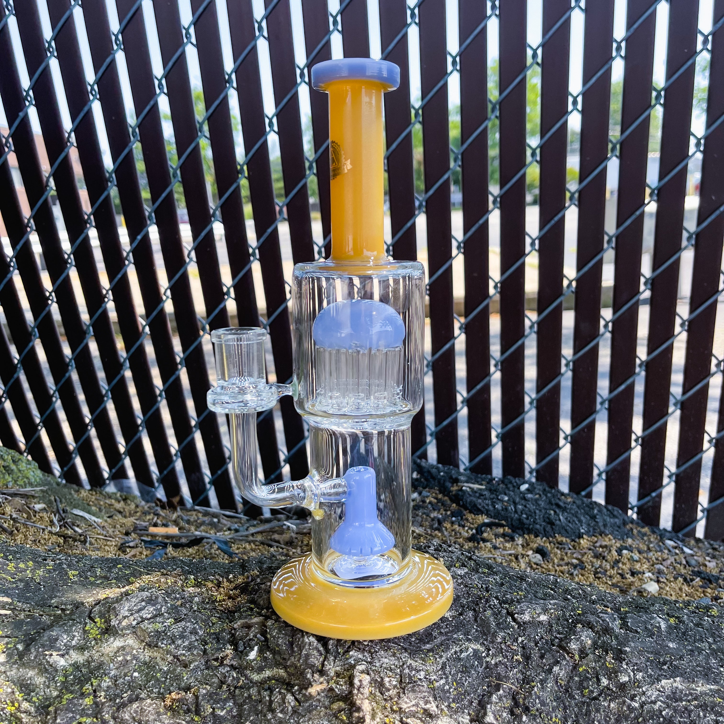 JY 539 - 12” Two Tone Shower to Tree Waterpipe