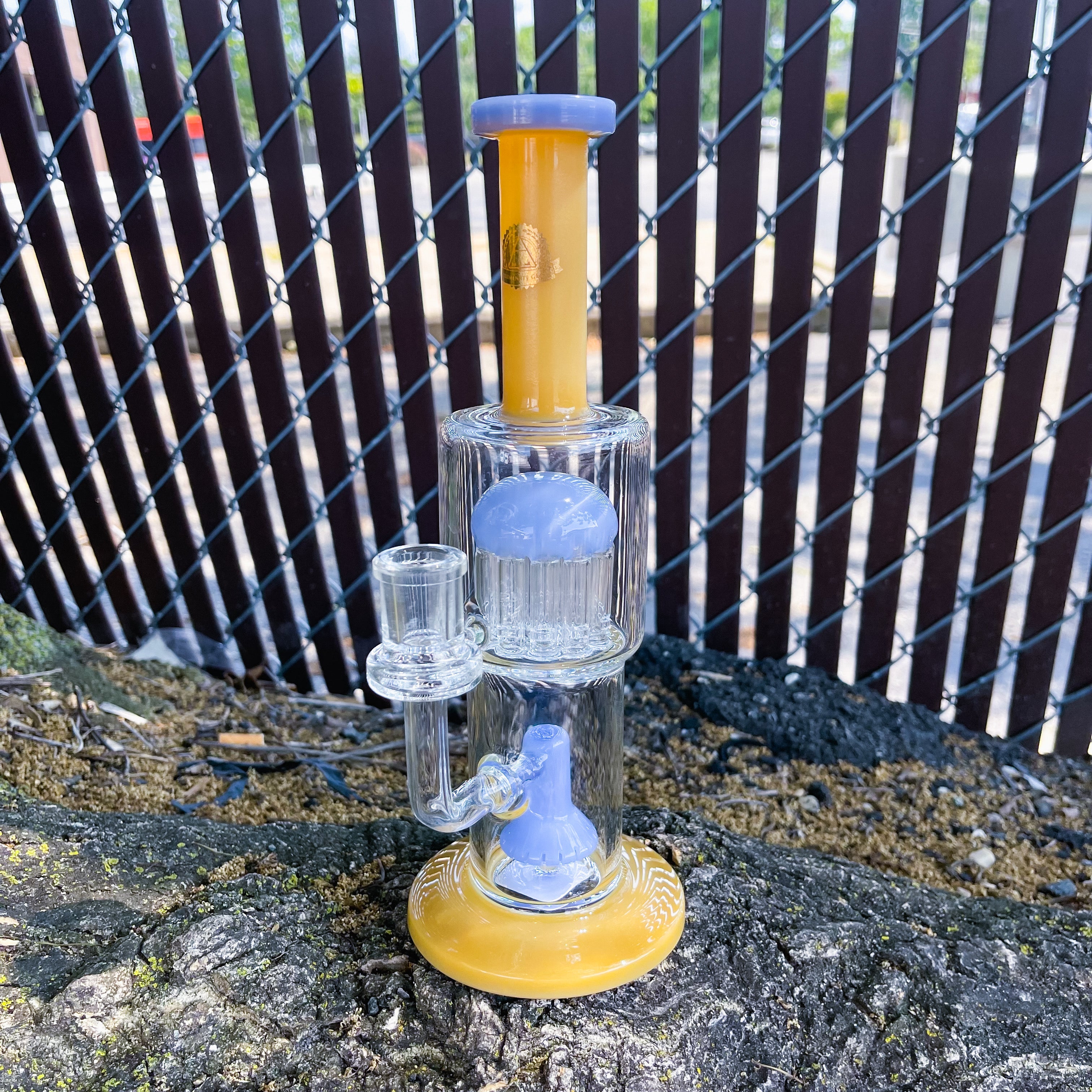 JY 539 - 12” Two Tone Shower to Tree Waterpipe