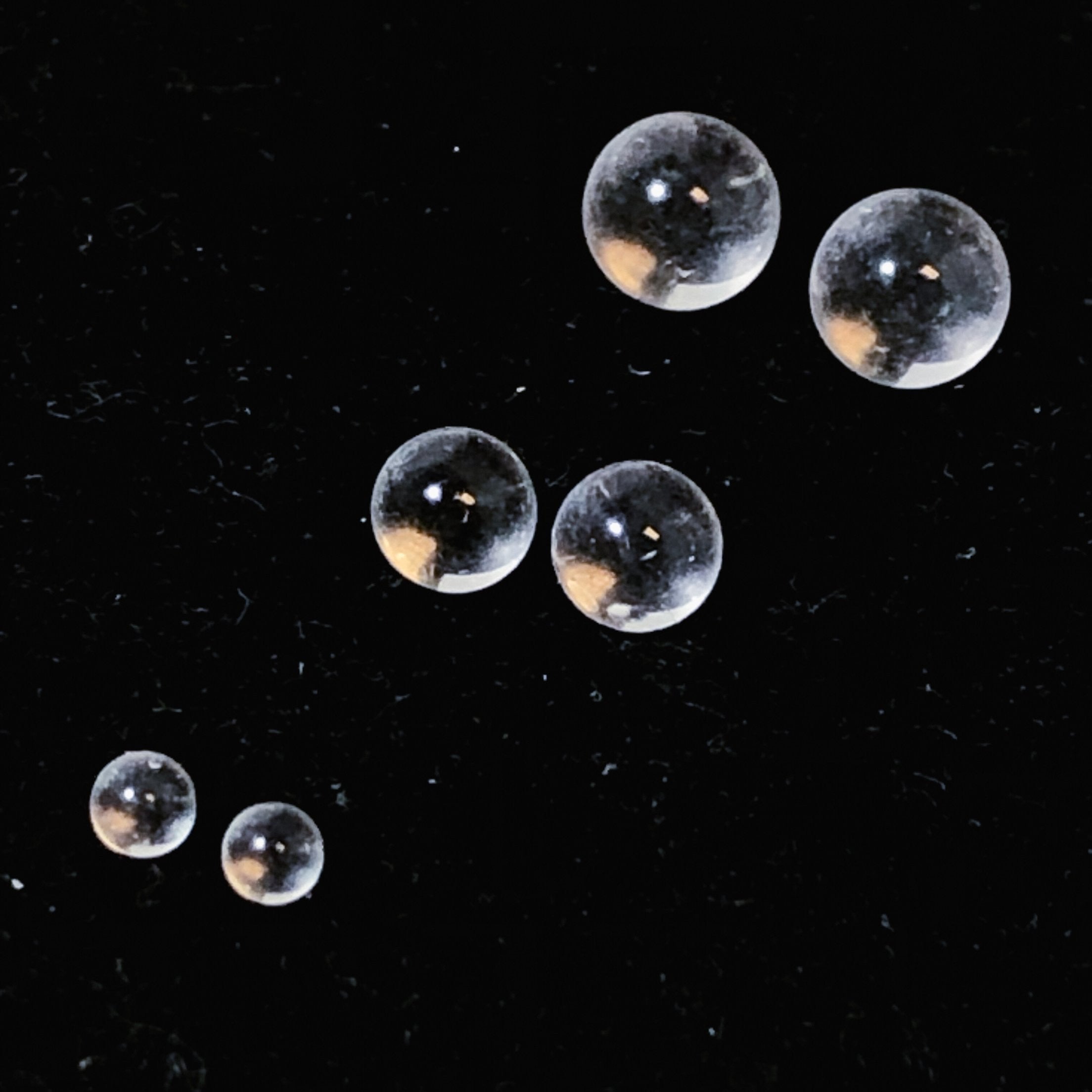Quartz Beads (Clear)